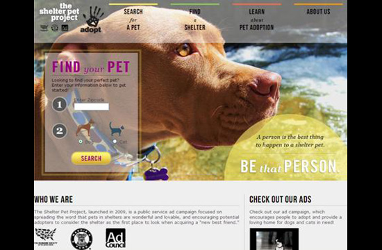 Pet adoptions rise with the help of the Ad Council